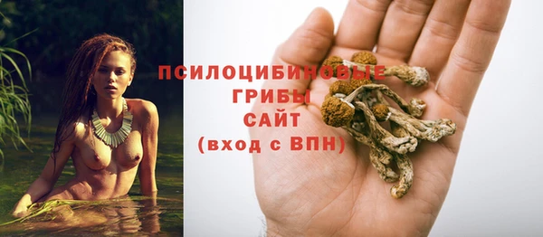 ALPHA PVP Арсеньев
